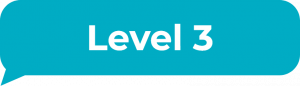 Level 3