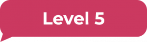 Level 5