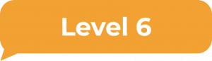 Level 6