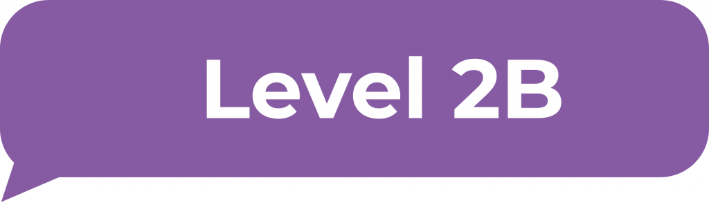 Level 2B